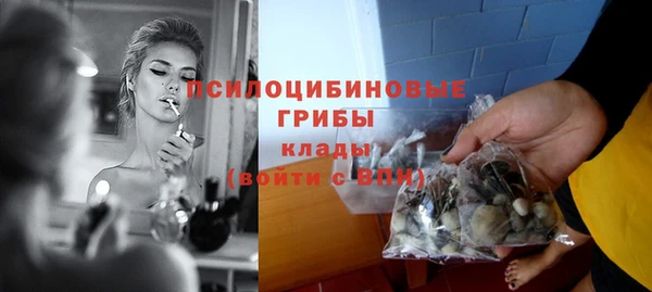 прущие грибы Верхнеуральск