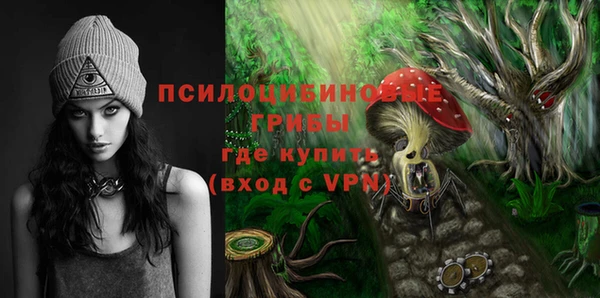 дмт Бугульма