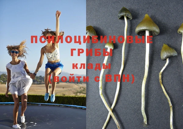 каннабис Бронницы